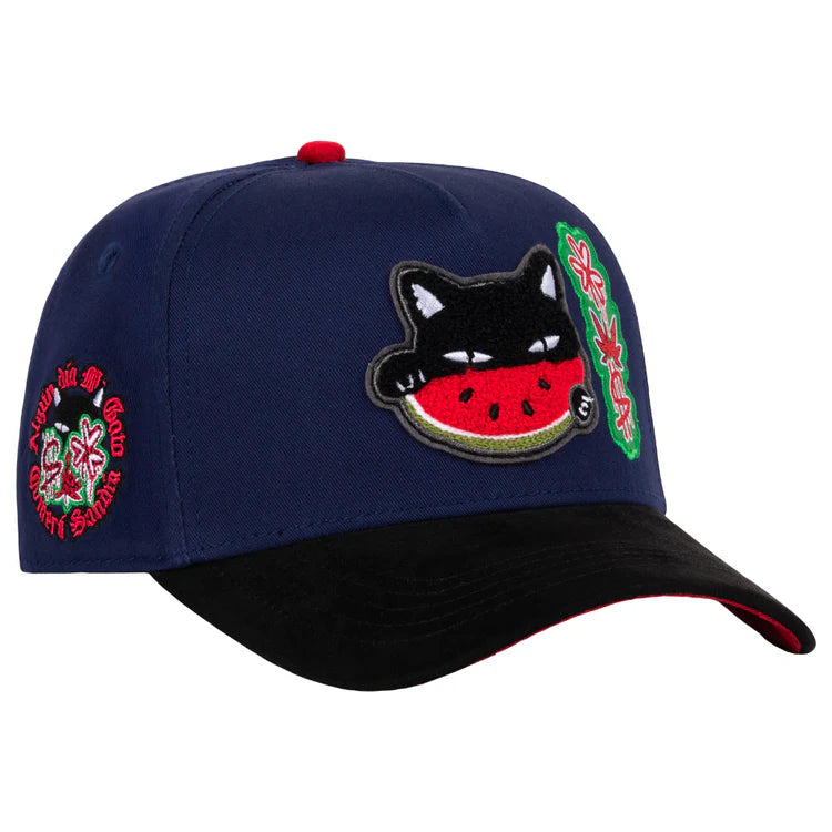 GORRA JC HATS- WATERMELON CAT BLUE
