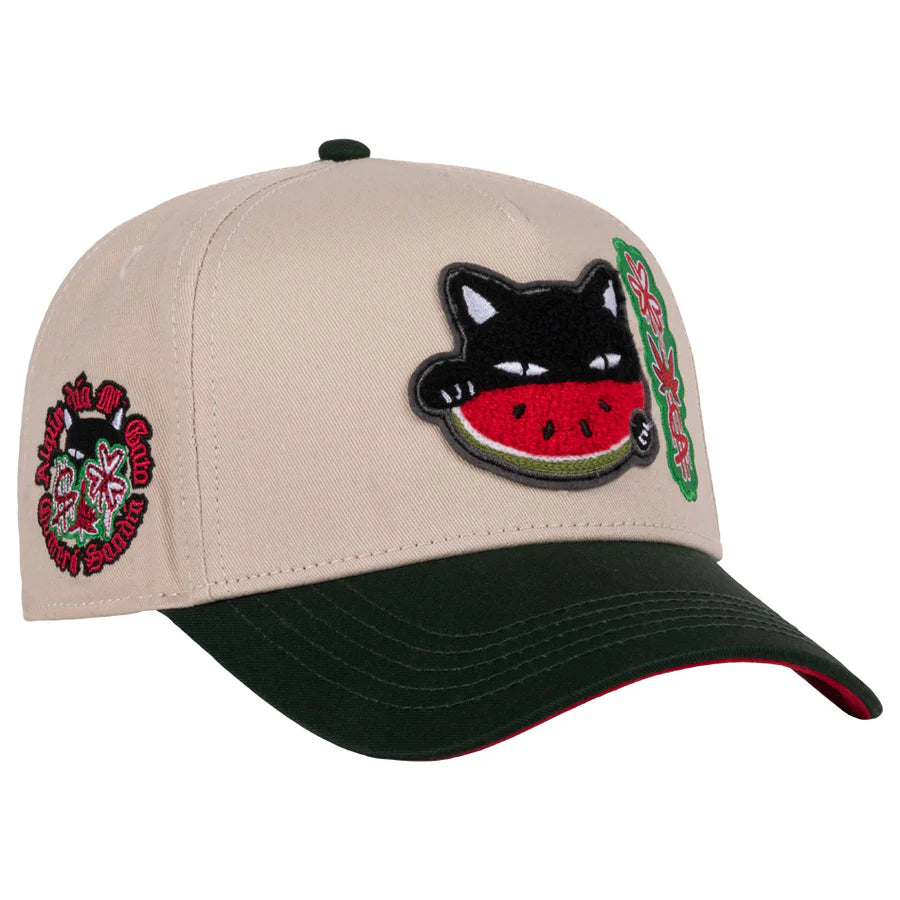 GORRA JC HATS- WATERMELON CAT BEIGE GREEN