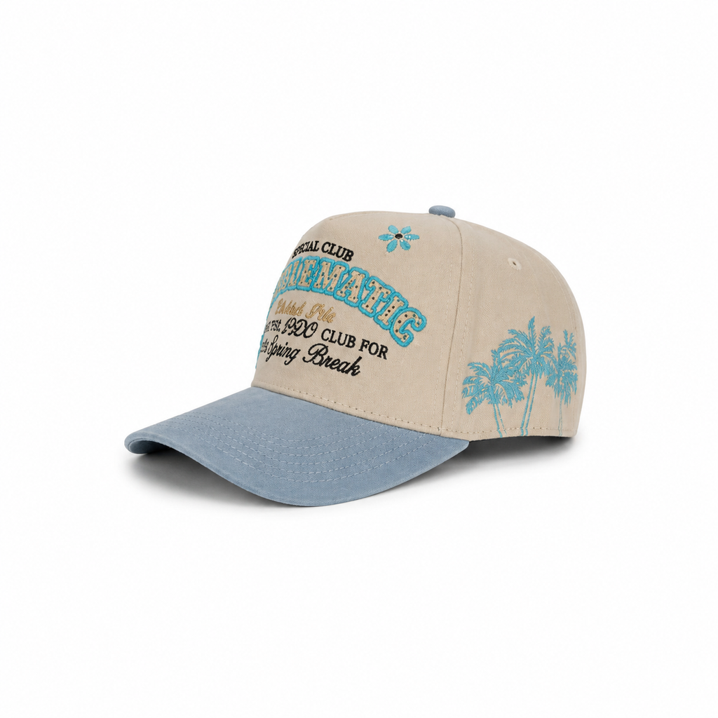 GORRA PROBLEMATIC- DISTRICT PDC