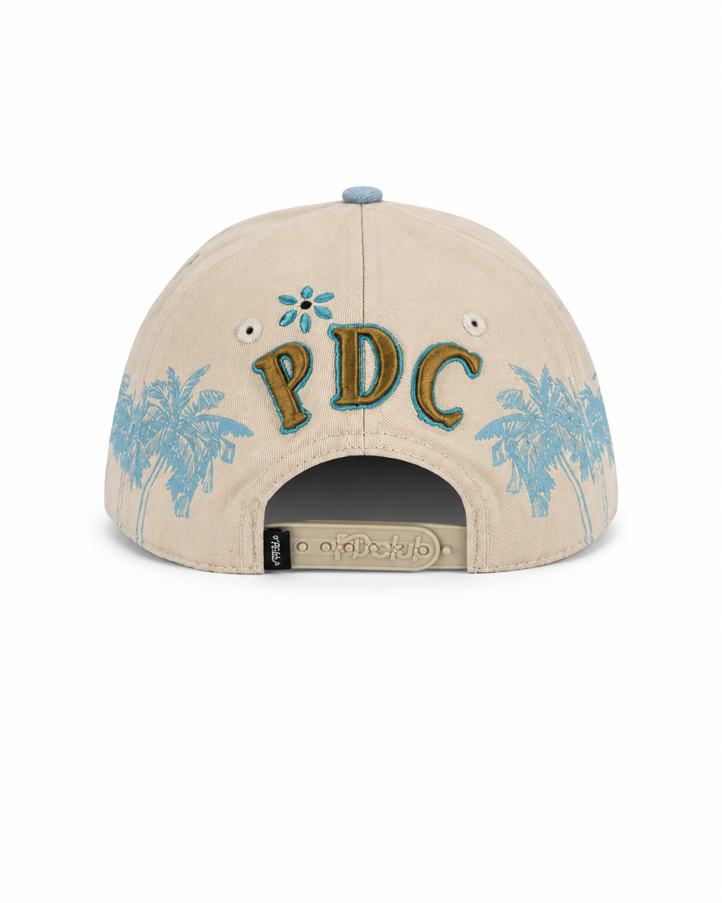 GORRA PROBLEMATIC- DISTRICT PDC