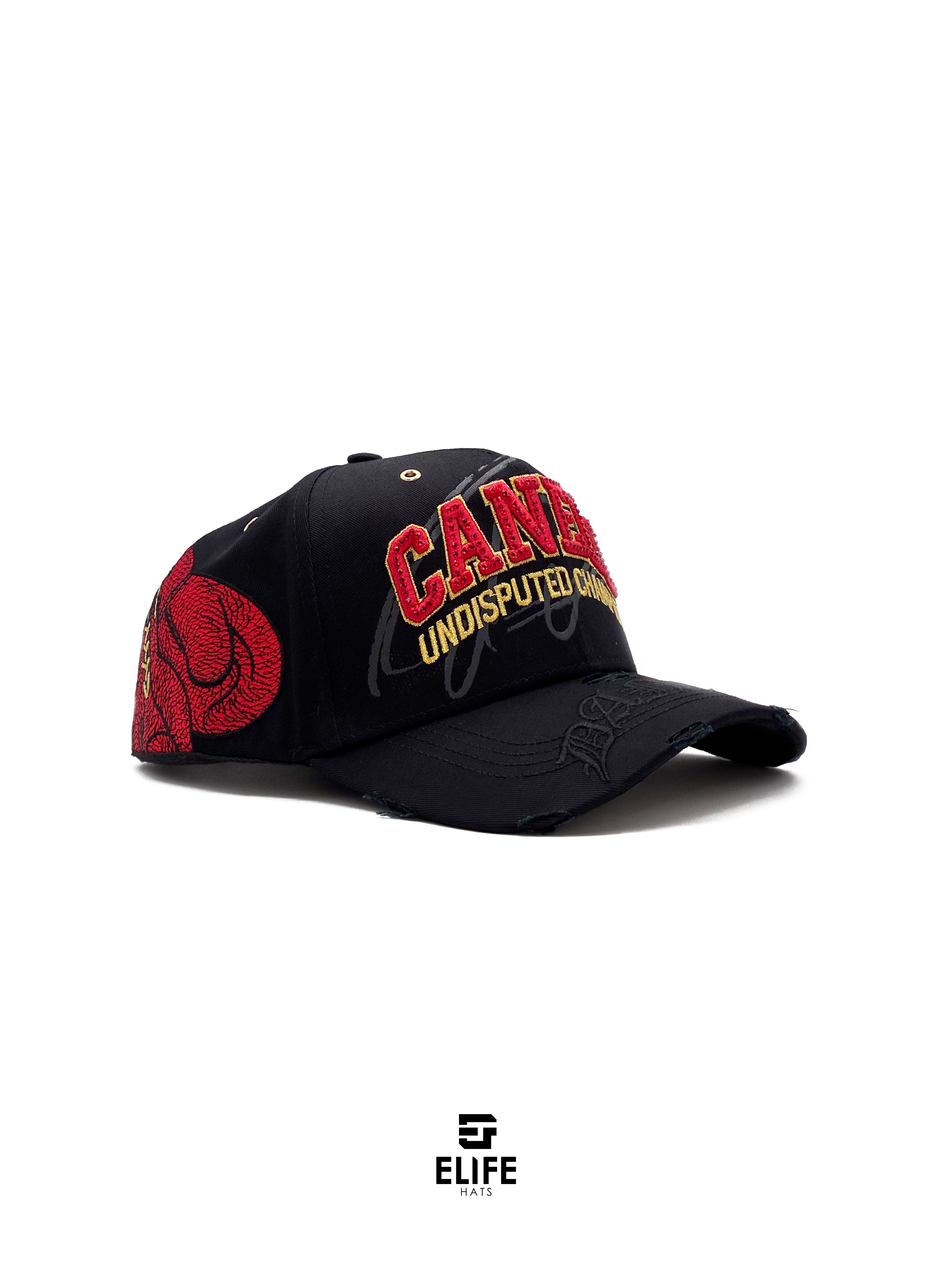 DANDY HATS- CANELO POUND FOR POUND