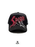 BIGG BOSS- SPIDER